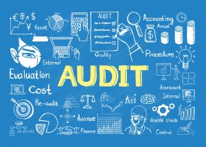 Auditing Sector